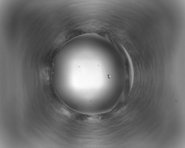 X0000067940232200604131457