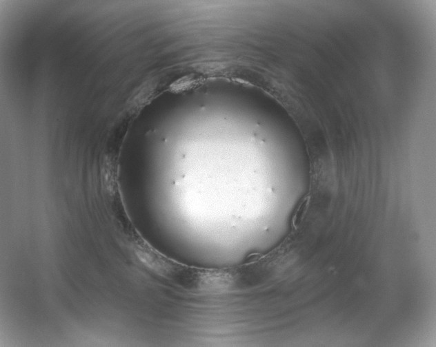 X0000067940234200604131457