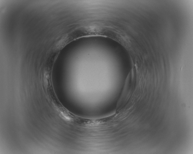 X0000067940235200604131457