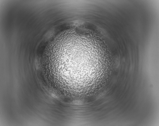 X0000067940236200604131457