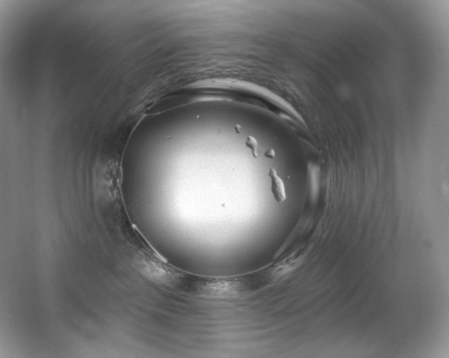 X0000067940237200604131457