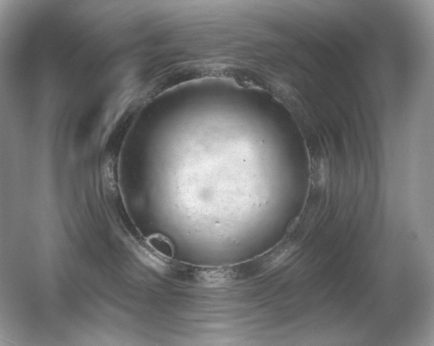 X0000067940238200604131457