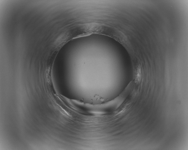 X0000067940239200604131457