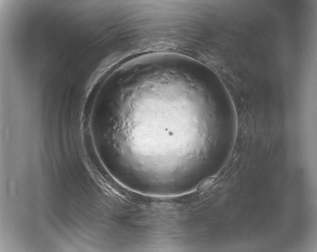 X0000067940242200604131456