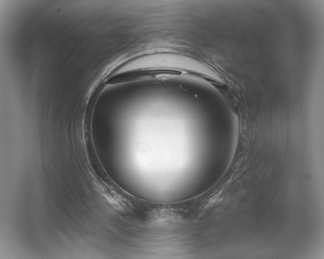 X0000067940244200604131456