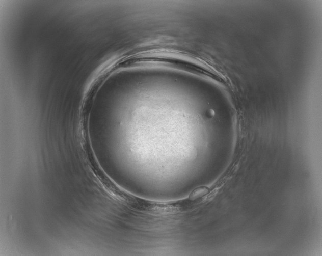 X0000067940245200604131456