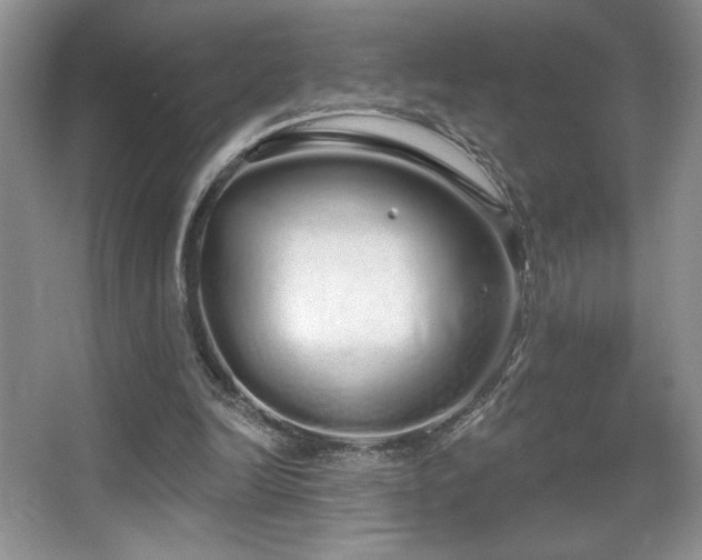 X0000067940246200604131456