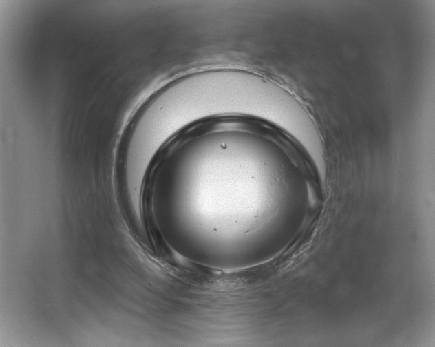 X0000067940248200604131456