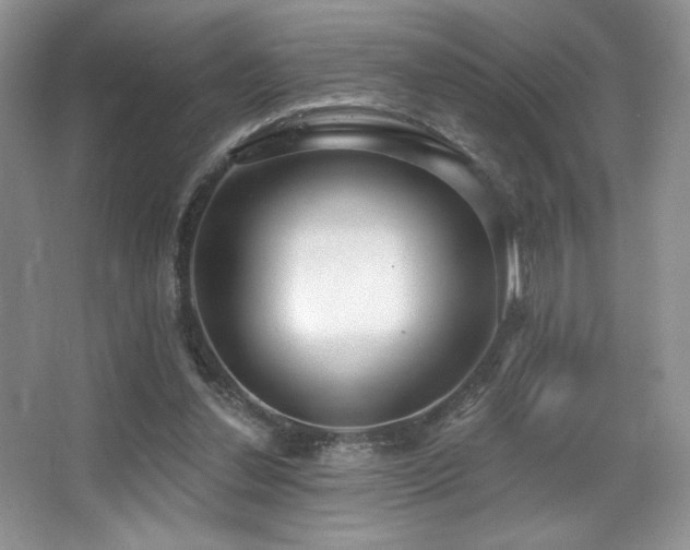 X0000067940252200604131456
