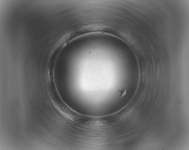 X0000067940254200604131456