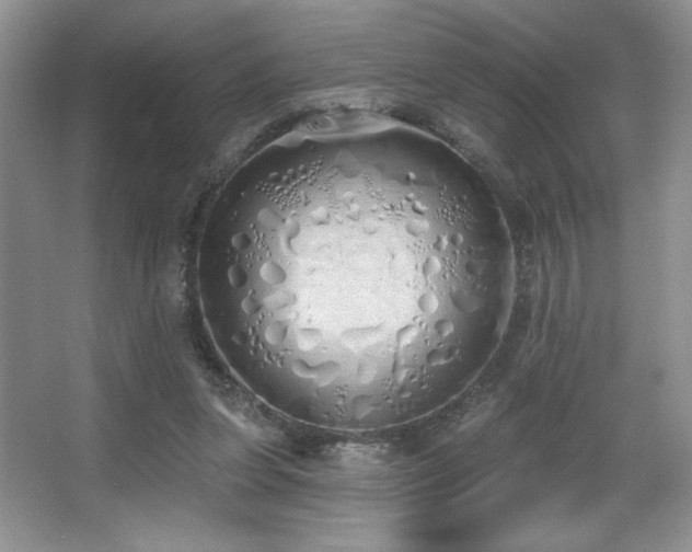 X0000067940255200604131456