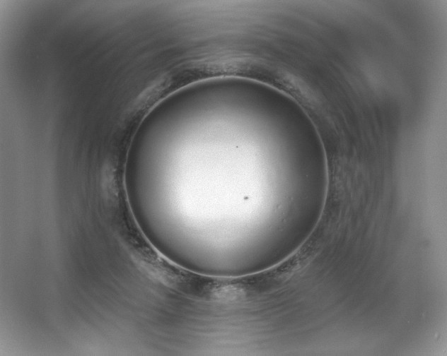 X0000067940258200604131456