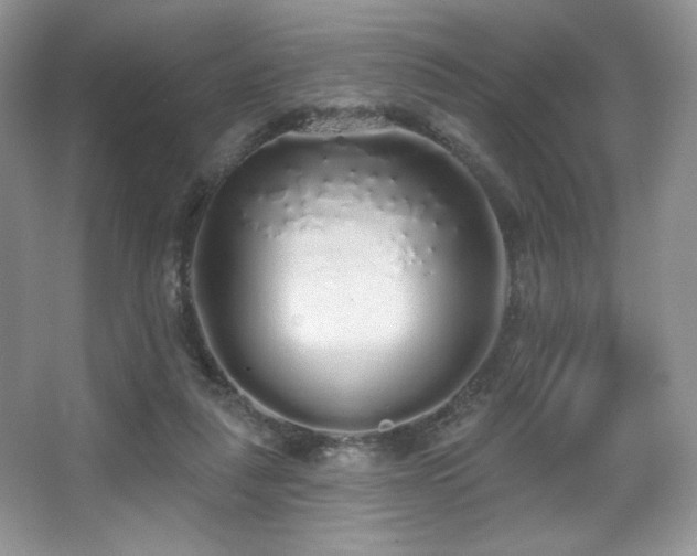 X0000067940259200604131456