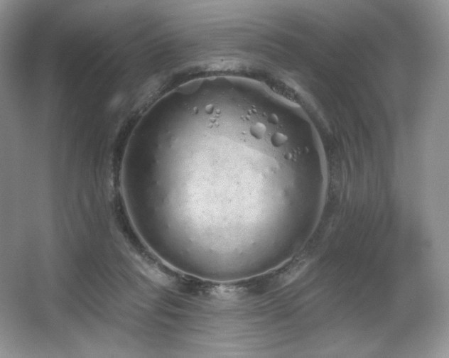 X0000067940261200604131456