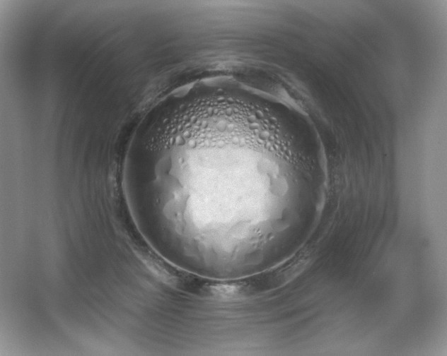 X0000067940265200604131456