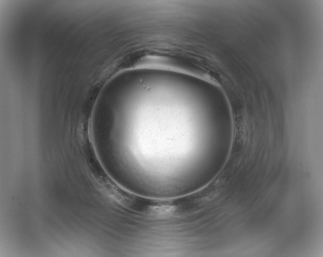 X0000067940266200604131456