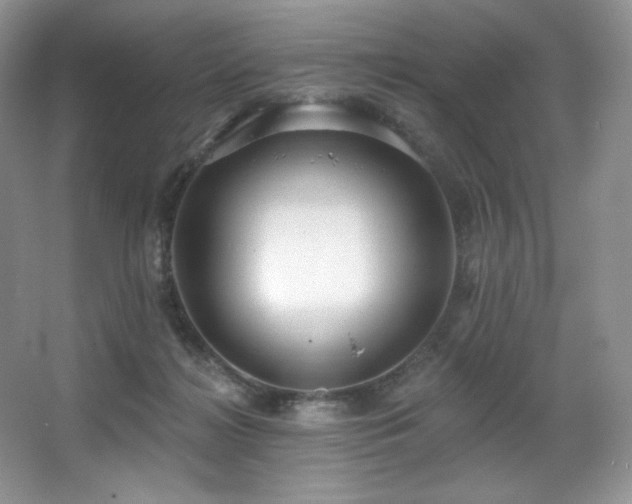 X0000067940268200604131456