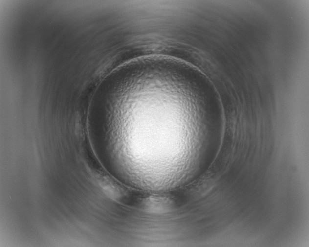 X0000067940270200604131456