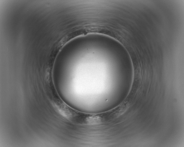 X0000067940271200604131456
