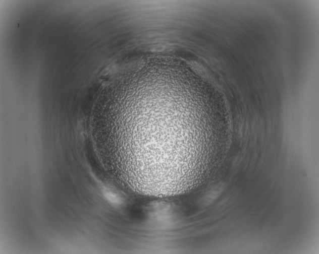 X0000067940272200604131456