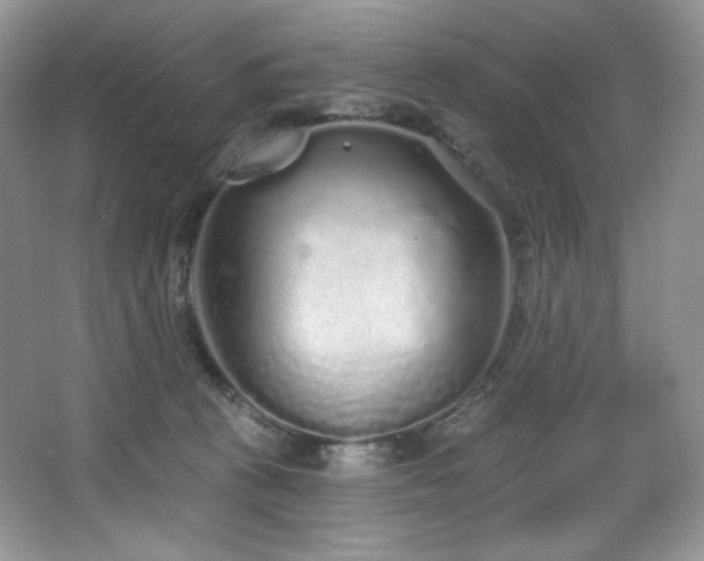 X0000067940273200604131456