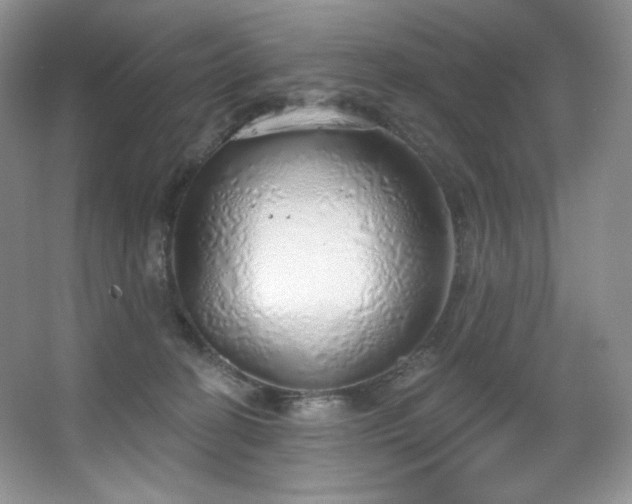 X0000067940274200604131456
