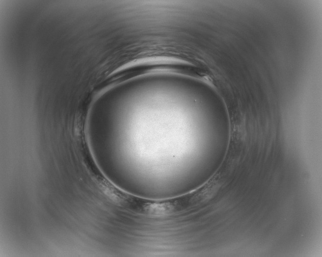 X0000067940277200604131456