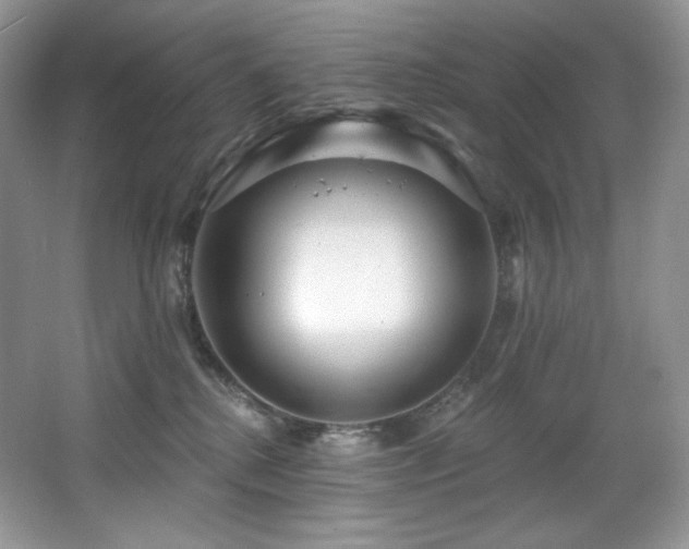 X0000067940280200604131457