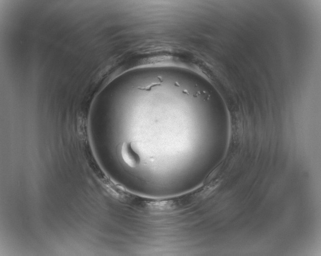 X0000067940281200604131457