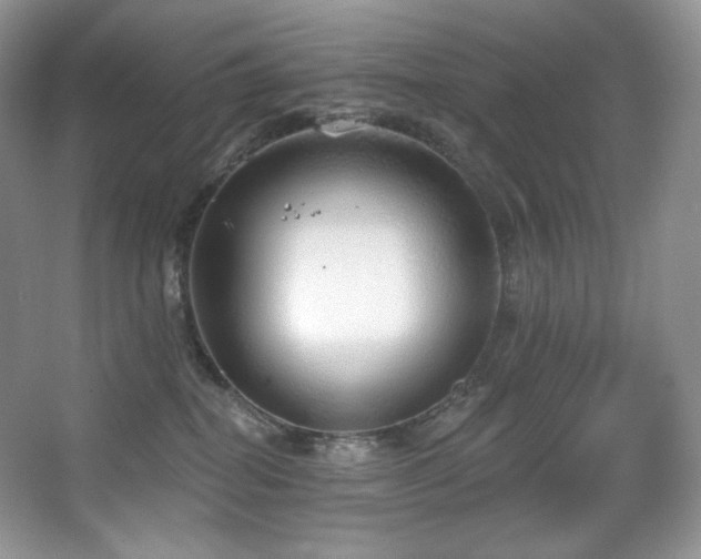 X0000067940282200604131457