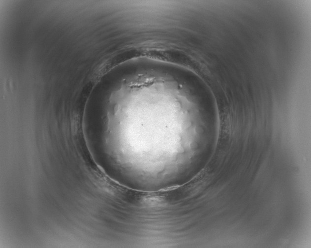 X0000067940283200604131457