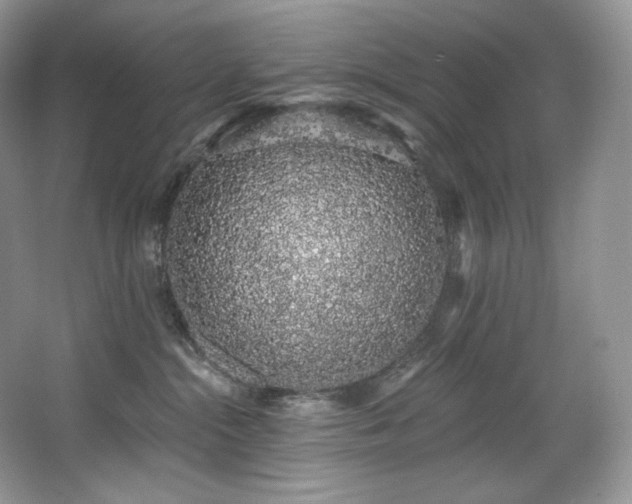 X0000067940284200604131457
