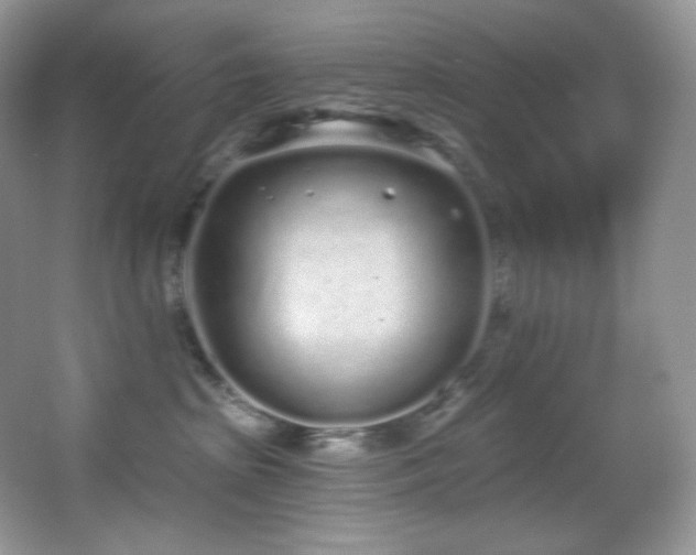 X0000067940285200604131457
