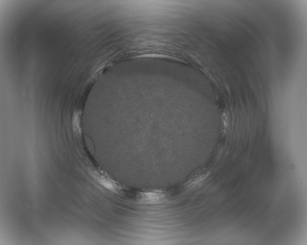 X0000067940286200604131457
