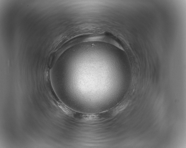 X0000067940288200604131457