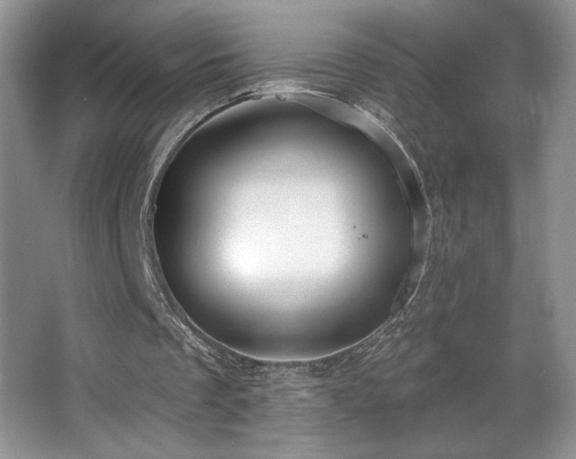 X0000067940289200604131456