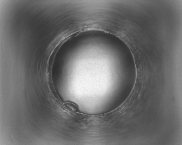 X0000067940290200604131456
