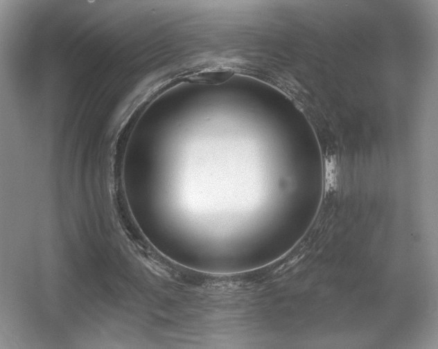 X0000067940291200604131456