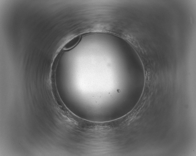 X0000067940292200604131456