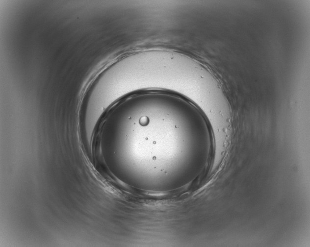 X0000067940293200604131456