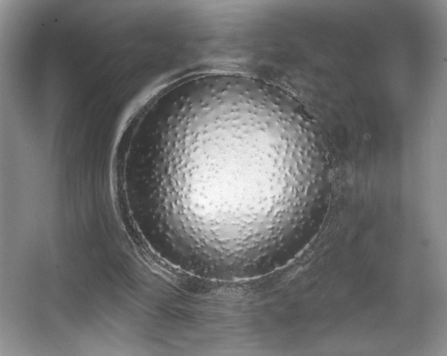 X0000067940294200604131456