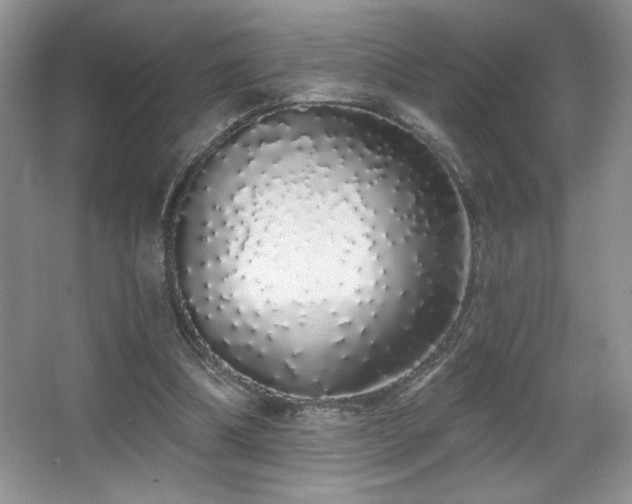 X0000067940298200604131456