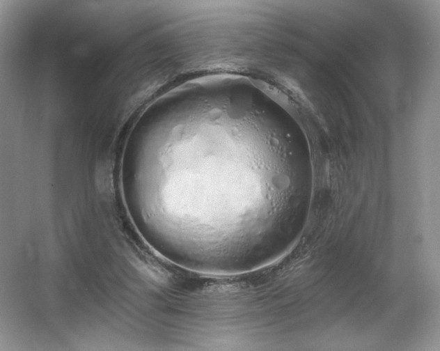X0000067940299200604131456