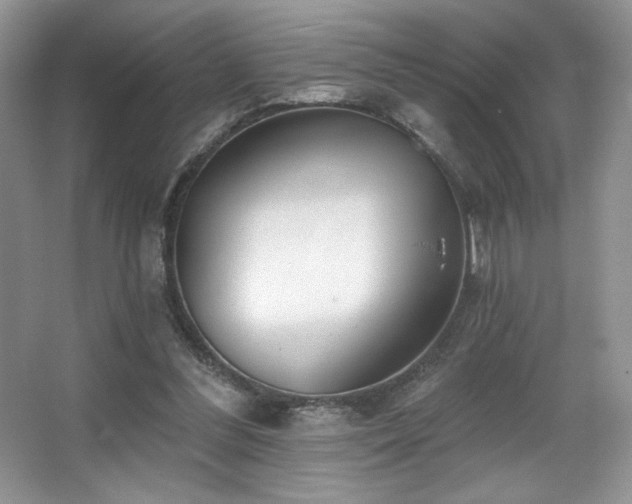 X0000067940300200604131456