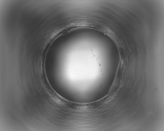 X0000067940301200604131456
