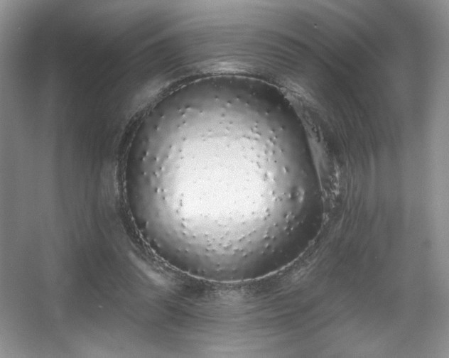 X0000067940302200604131456