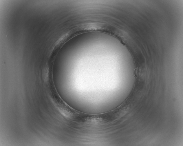X0000067940304200604131456