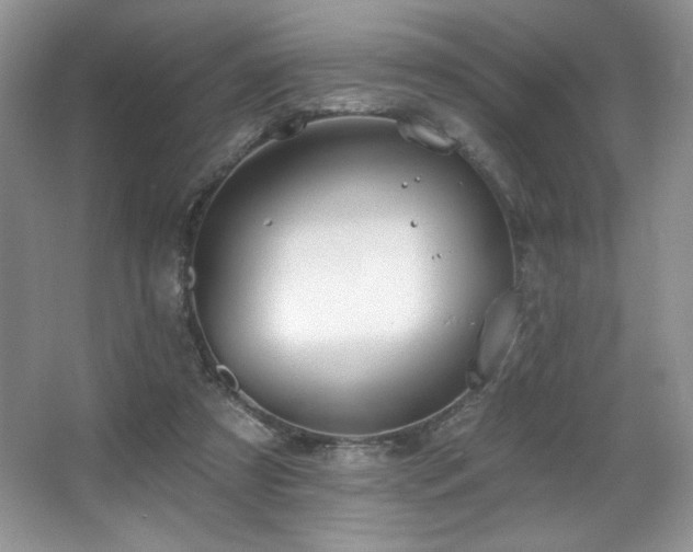 X0000067940305200604131456