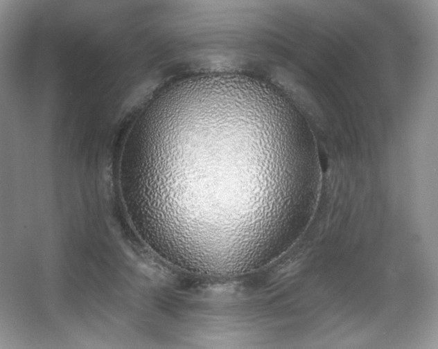 X0000067940306200604131456