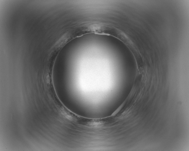 X0000067940313200604131455